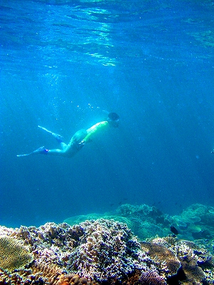 光差し込むフカパナリの青いさんご礁