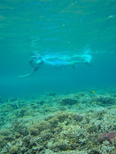 バラス島で泳ぐ
