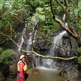 秘境仲良川と幻の滝コース