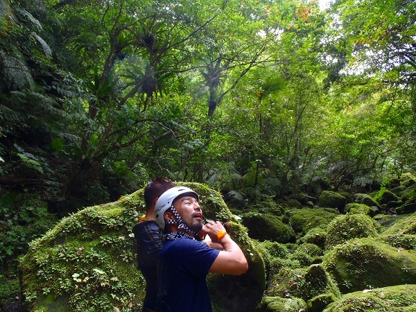 西表島カヌー、トレッキングツアーＡＬＢＵＭ/  グッドアウトドア