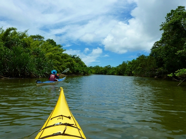 西表島カヌー、トレッキングツアーＡＬＢＵＭ/  グッドアウトドア