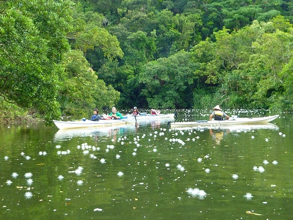西表島カヌー、トレッキングツアーＡＬＢＵＭ/  グッドアウトドア