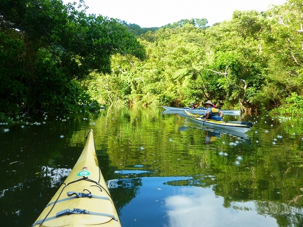 西表島カヌー、トレッキングツアーＡＬＢＵＭ/  グッドアウトドア
