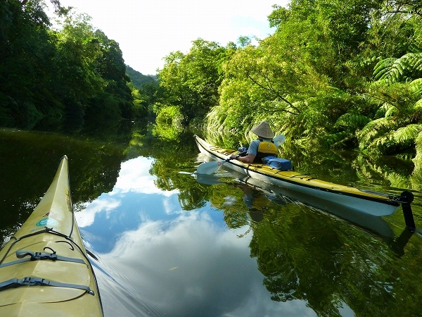 西表島カヌー、トレッキングツアーＡＬＢＵＭ/  グッドアウトドア