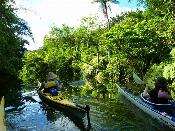 西表島カヌー、トレッキングツアーＡＬＢＵＭ/  グッドアウトドア