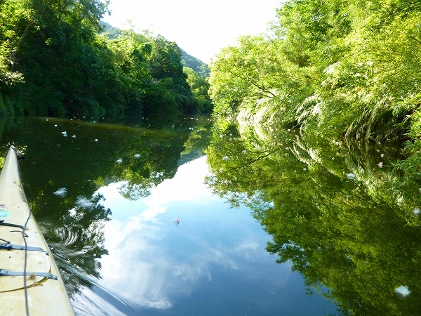 西表島カヌー、トレッキングツアーＡＬＢＵＭ/  グッドアウトドア