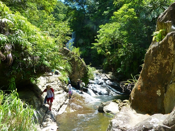 西表島カヌー、トレッキングツアーＡＬＢＵＭ/  グッドアウトドア