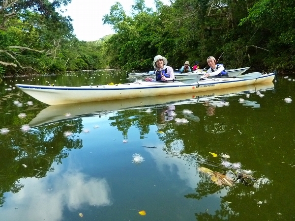 西表島カヌー、トレッキングツアーＡＬＢＵＭ/  グッドアウトドア