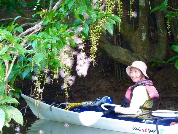 西表島カヌー、トレッキングツアーＡＬＢＵＭ/  グッドアウトドア