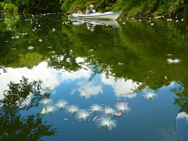 西表島カヌー、トレッキングツアーＡＬＢＵＭ/  グッドアウトドア