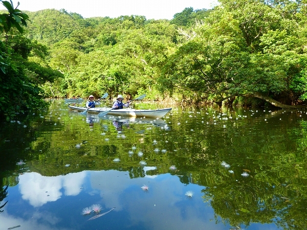 西表島カヌー、トレッキングツアーＡＬＢＵＭ/  グッドアウトドア