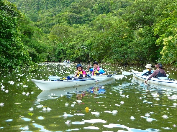 西表島カヌー、トレッキングツアーＡＬＢＵＭ/  グッドアウトドア