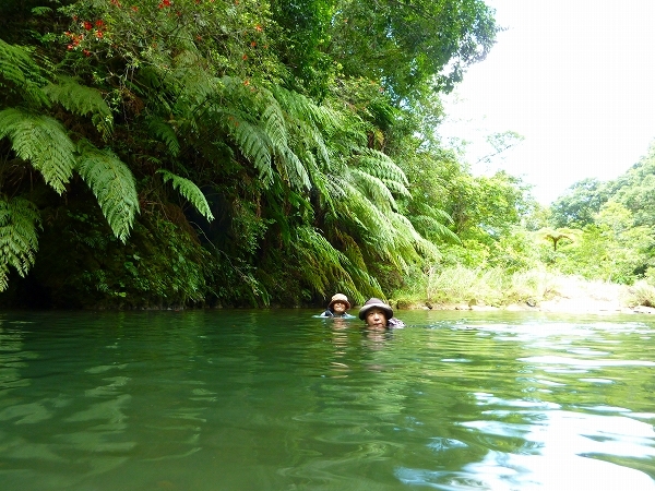 西表島カヌー、トレッキングツアーＡＬＢＵＭ/  グッドアウトドア