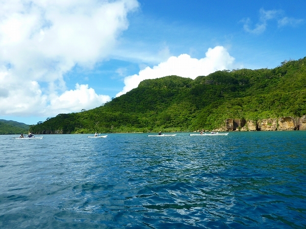 西表島カヌー、トレッキングツアーＡＬＢＵＭ/  グッドアウトドア