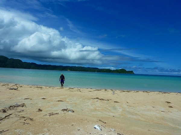 西表島カヌー、トレッキングツアーＡＬＢＵＭ/  グッドアウトドア