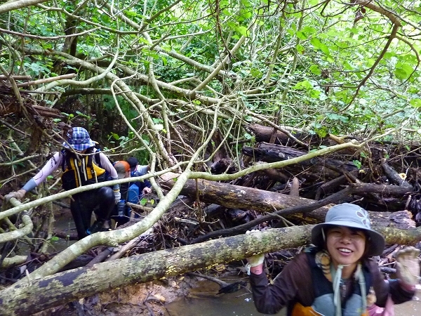 西表島カヌー、トレッキングツアーＡＬＢＵＭ/  グッドアウトドア