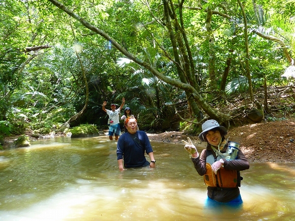 西表島カヌー、トレッキングツアーＡＬＢＵＭ/  グッドアウトドア