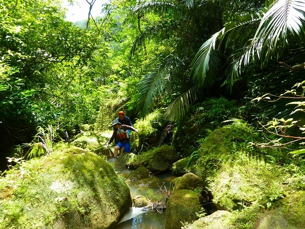 西表島カヌー、トレッキングツアーＡＬＢＵＭ/  グッドアウトドア