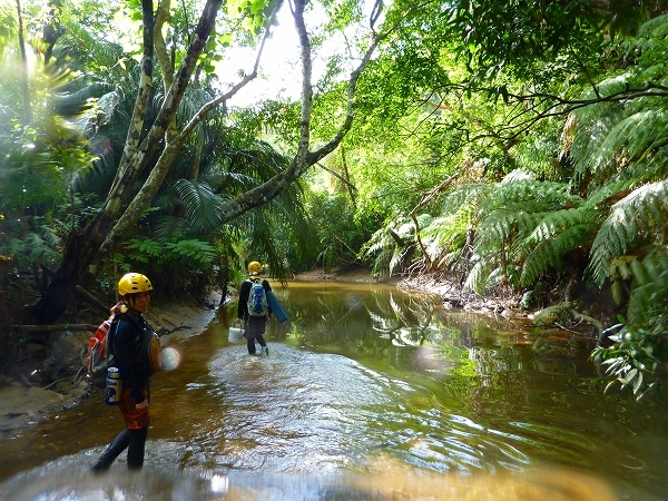 西表島カヌー、トレッキングツアーＡＬＢＵＭ/  グッドアウトドア