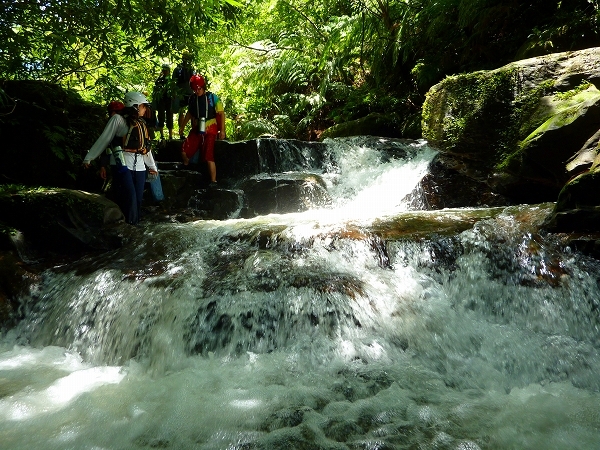 西表島カヌー、トレッキングツアーＡＬＢＵＭ/  グッドアウトドア