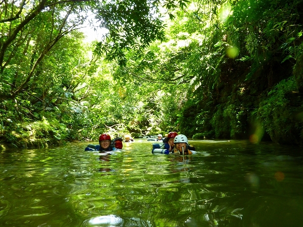 西表島カヌー、トレッキングツアーＡＬＢＵＭ/  グッドアウトドア