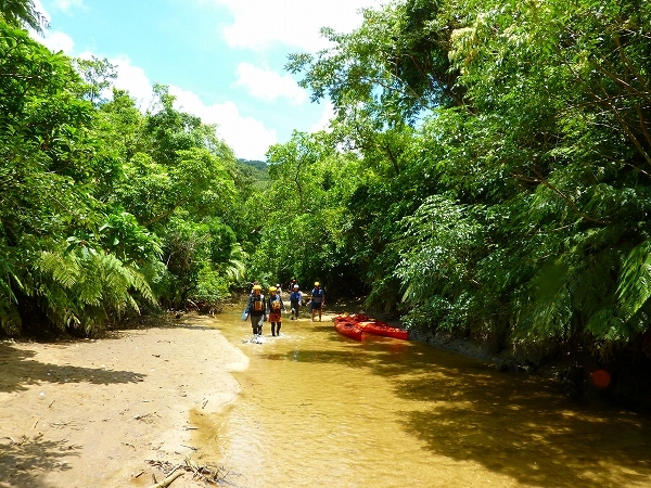 西表島カヌー、トレッキングツアーＡＬＢＵＭ/  グッドアウトドア