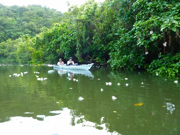 西表島カヌー、トレッキングツアーＡＬＢＵＭ/  グッドアウトドア