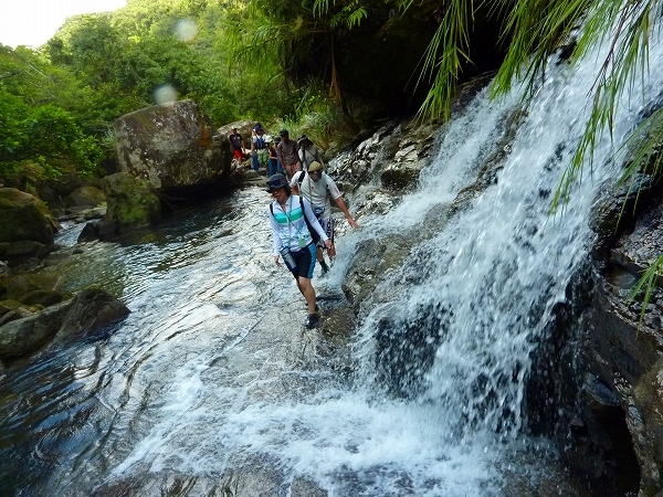 西表島カヌー、トレッキングツアーＡＬＢＵＭ/  グッドアウトドア