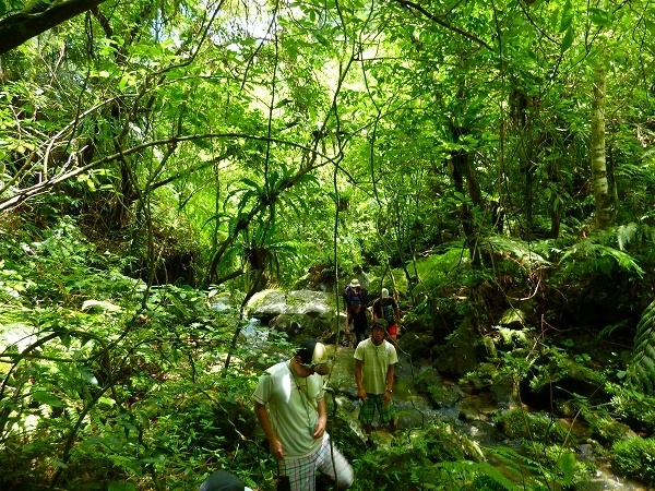 西表島カヌー、トレッキングツアーＡＬＢＵＭ/  グッドアウトドア