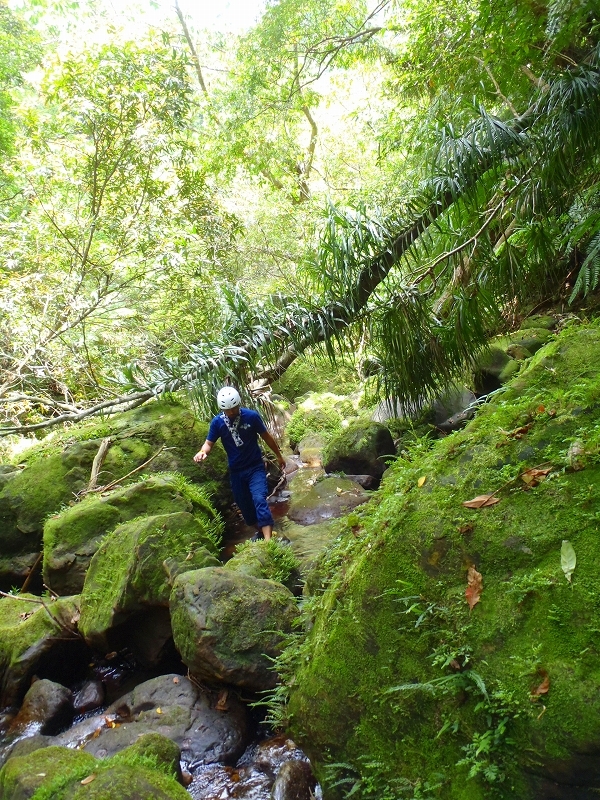 西表島カヌー、トレッキングツアーＡＬＢＵＭ/  グッドアウトドア