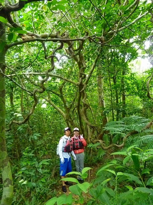 西表島カヌー、トレッキングツアーＡＬＢＵＭ/  グッドアウトドア