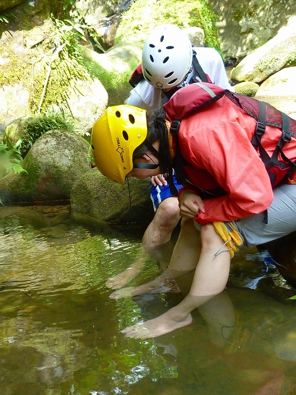 西表島カヌー、トレッキングツアーＡＬＢＵＭ/  グッドアウトドア