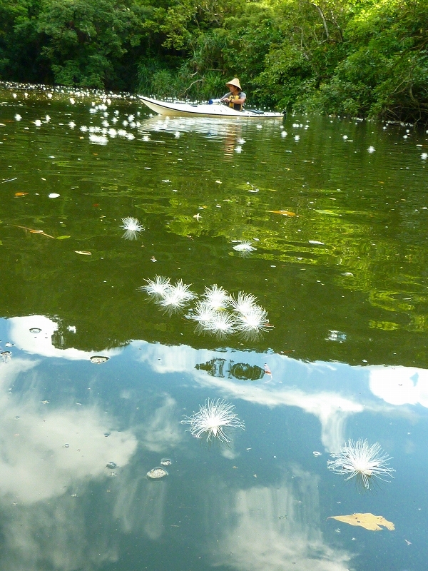 西表島カヌー、トレッキングツアーＡＬＢＵＭ/  グッドアウトドア