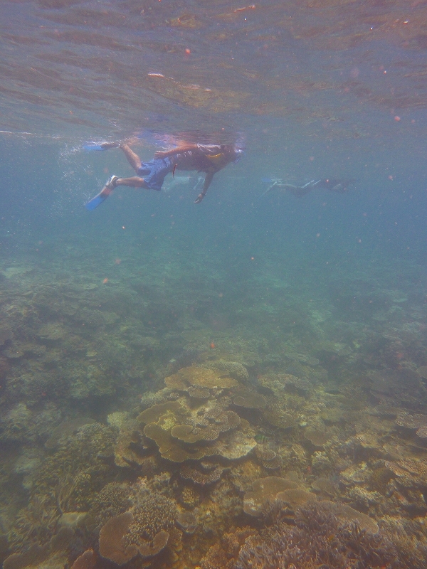 西表島カヌー、トレッキングツアーＡＬＢＵＭ/  グッドアウトドア