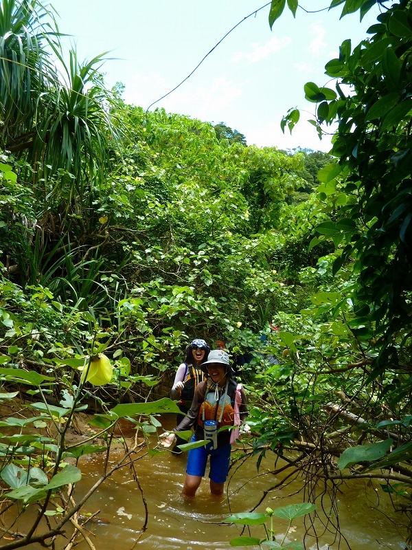 西表島カヌー、トレッキングツアーＡＬＢＵＭ/  グッドアウトドア