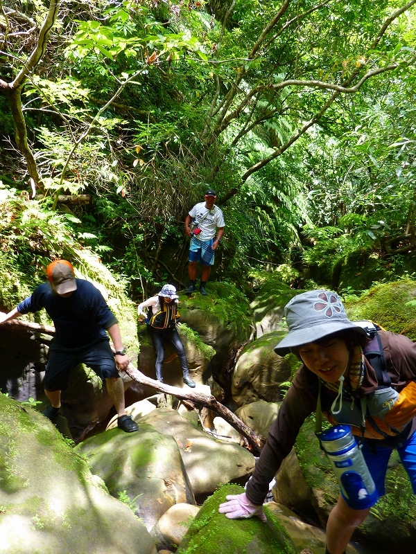 西表島カヌー、トレッキングツアーＡＬＢＵＭ/  グッドアウトドア