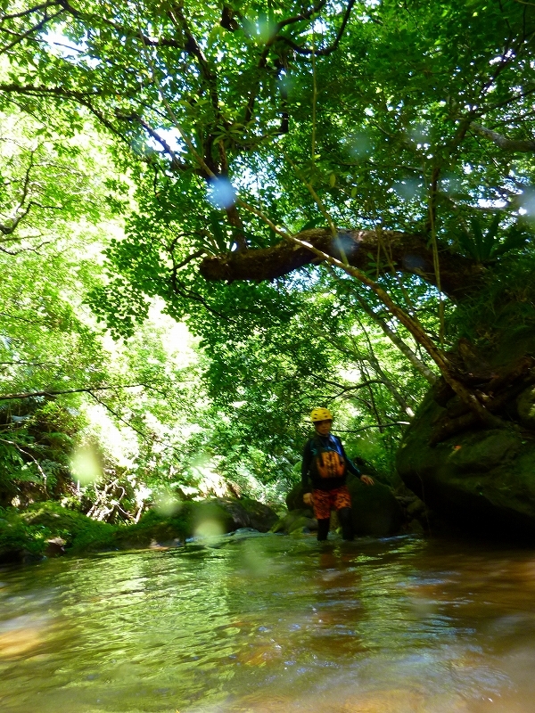西表島カヌー、トレッキングツアーＡＬＢＵＭ/  グッドアウトドア