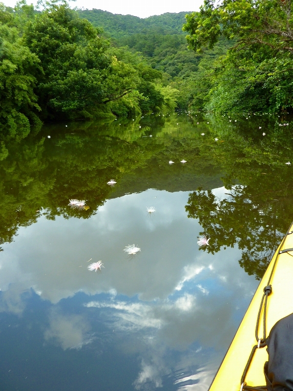 西表島カヌー、トレッキングツアーＡＬＢＵＭ/  グッドアウトドア