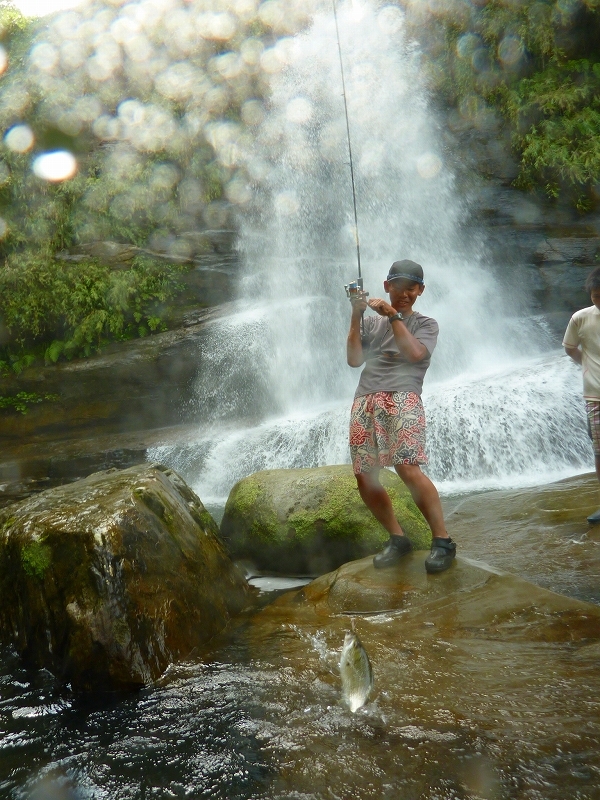 西表島カヌー、トレッキングツアーＡＬＢＵＭ/  グッドアウトドア