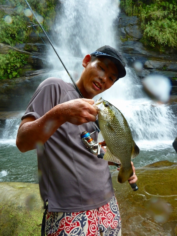 西表島カヌー、トレッキングツアーALBUM/ グッドアウトドア