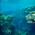 久々！青い珊瑚礁