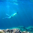 光差し込むフカパナリの青いさんご礁
